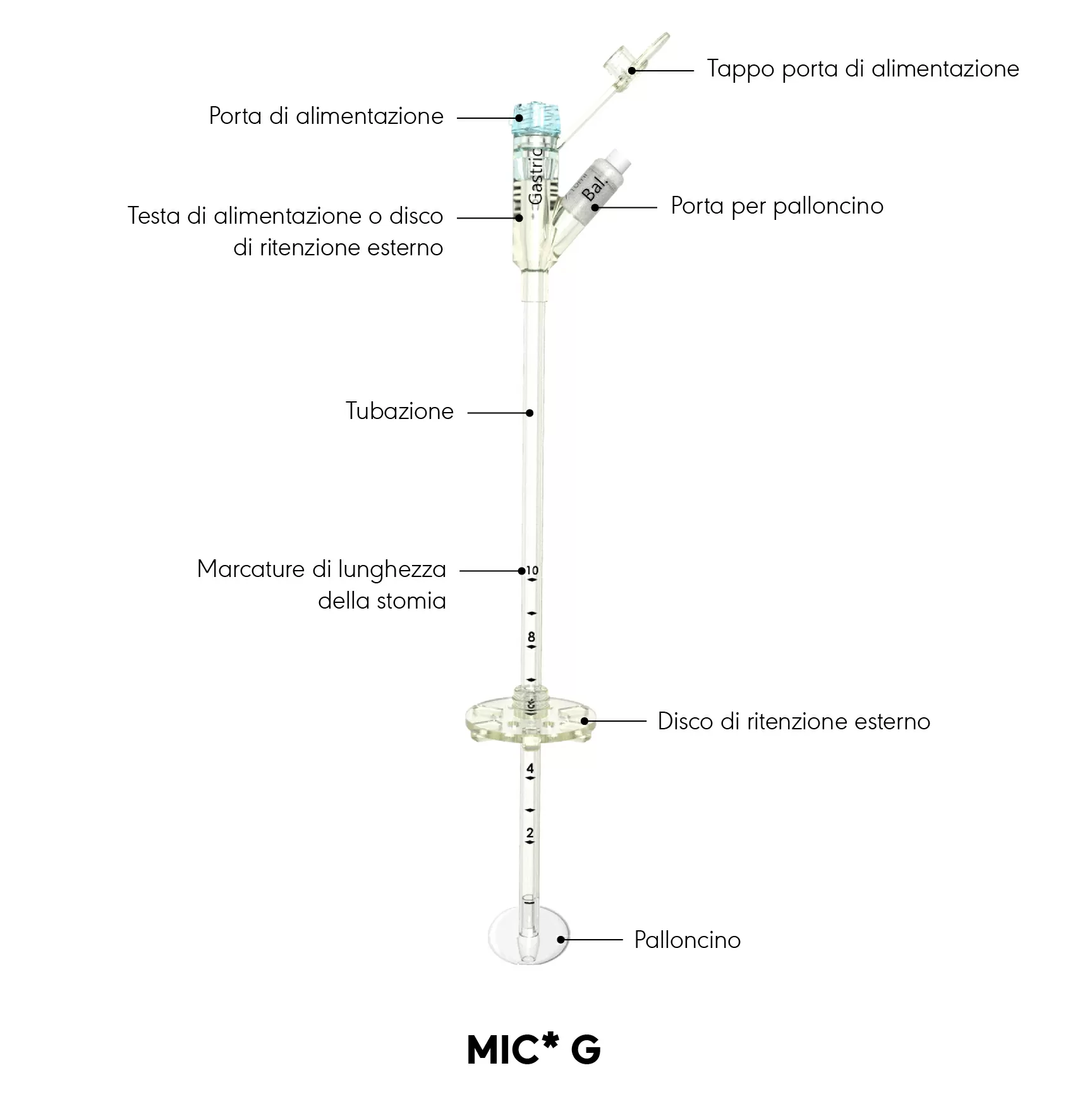 Diagramma del prodotto MIC* G