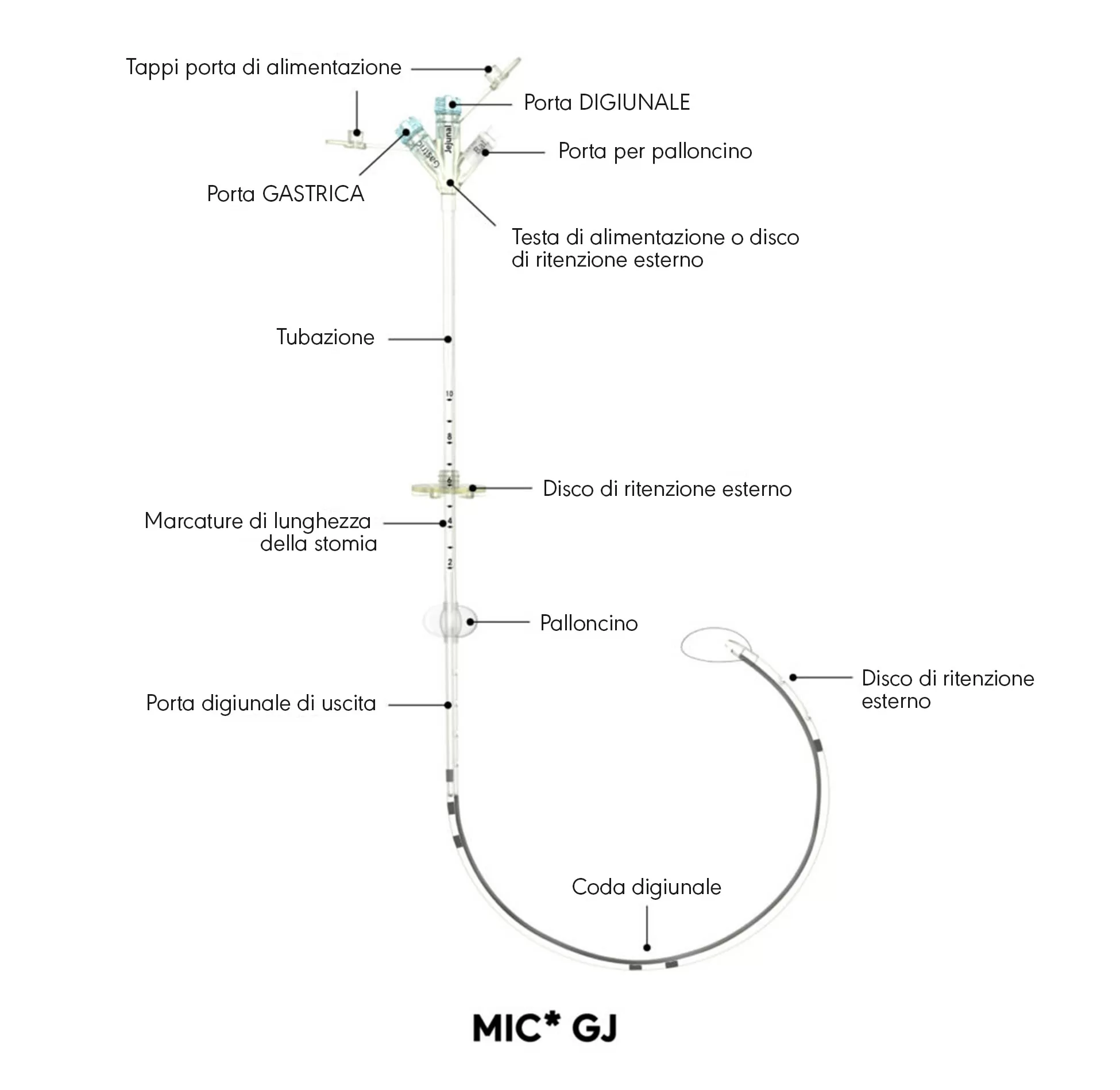 Diagramma del prodotto MIC* GJ