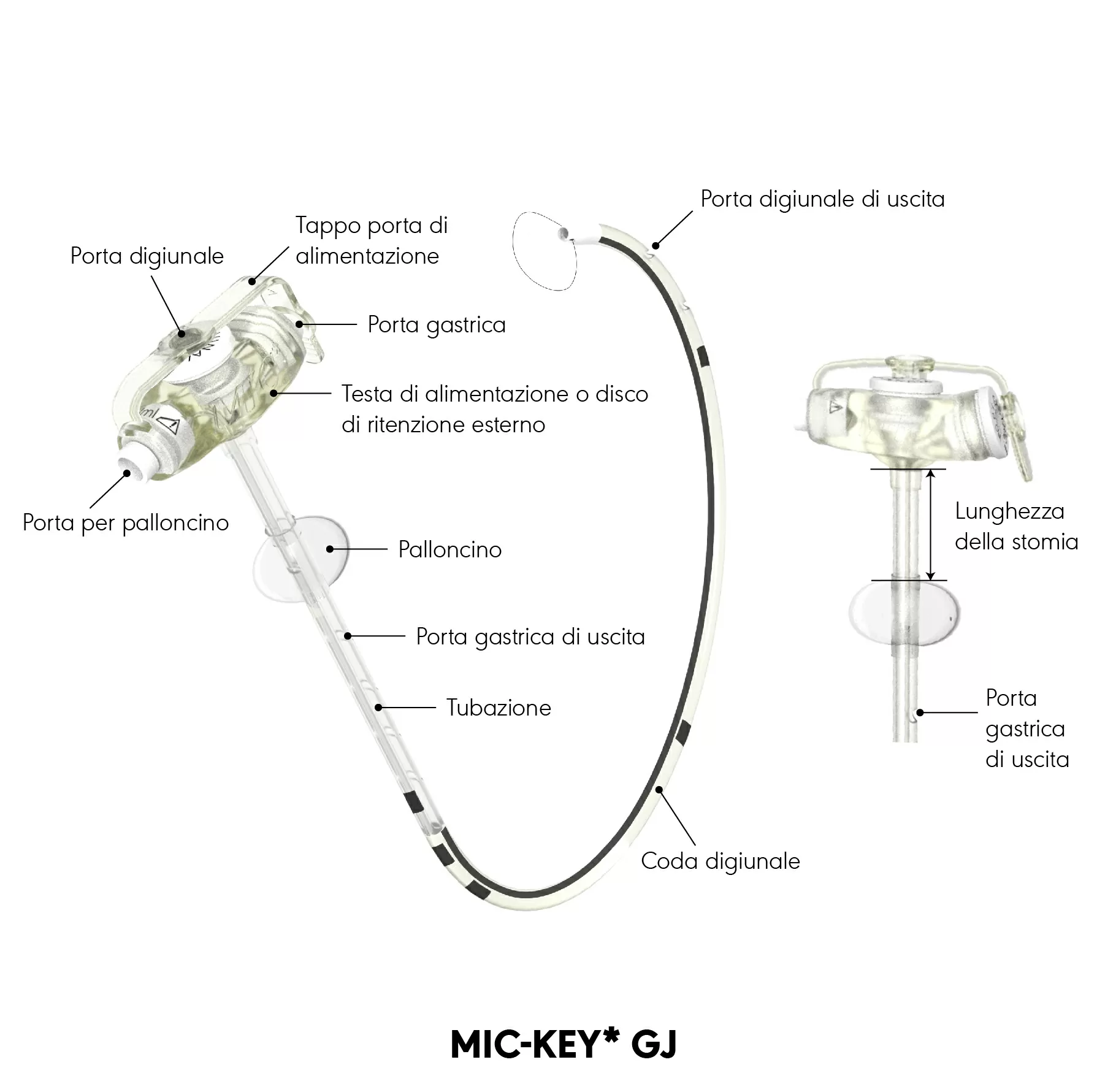 Diagramma del prodotto MIC-KEY* GJ