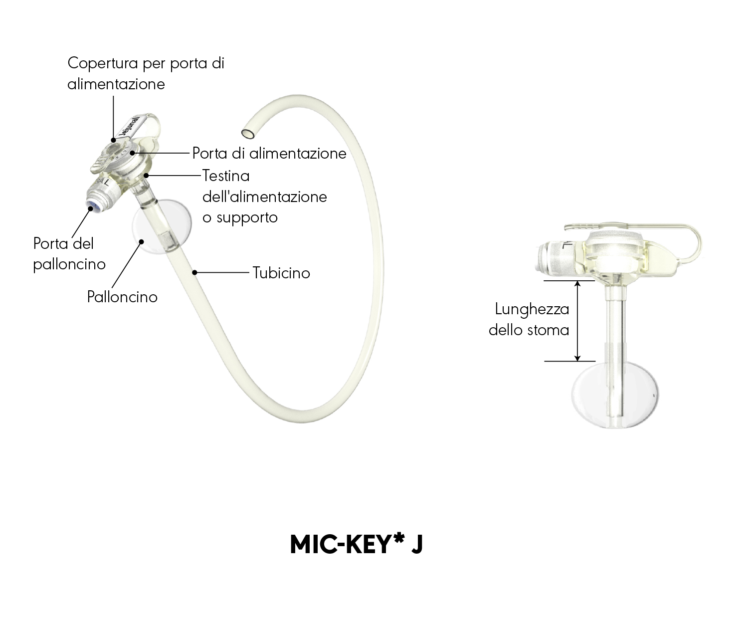 Diagramma del prodotto MIC-KEY* J