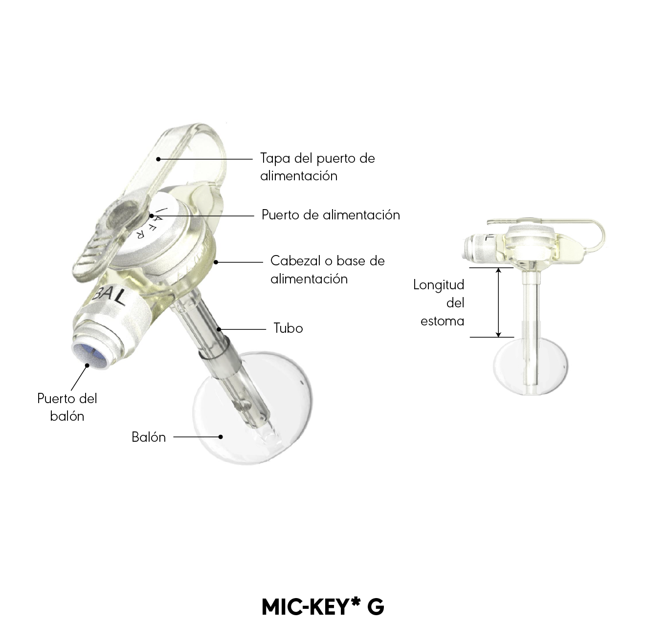 Diagramma del prodotto MIC-KEY* G